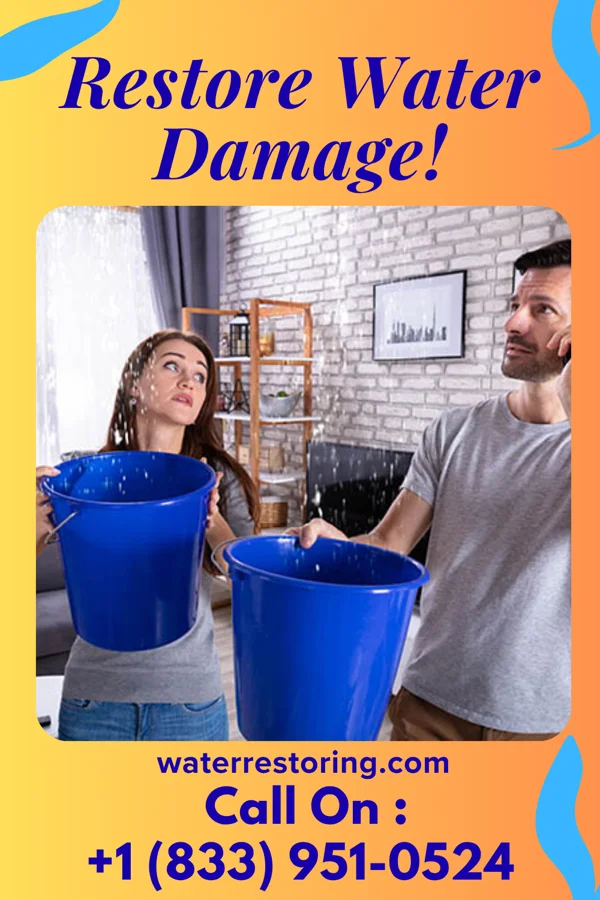 water restoration Platinum Sewage Cleanup Inc Pompton Plains